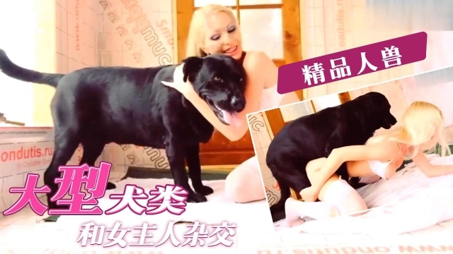 【精品人兽】骚货大战巨型犬 海报